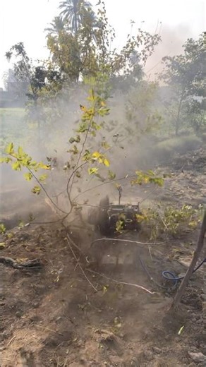 Diesel engine start with smallest trees 🌲 🌳