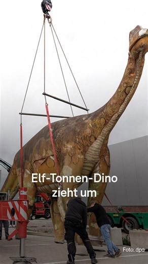 Elf Tonnen Dino-Dame muss umziehen #rtlnord #news #dinosaur #niedersachsen #rtlplus