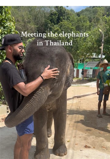Phuket Elephant Sanctuary: Save & Care Tour