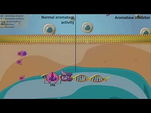 Aromatase inhibitors