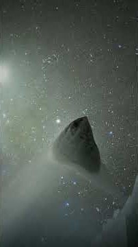 First Contact: The Story of Oumuamua
