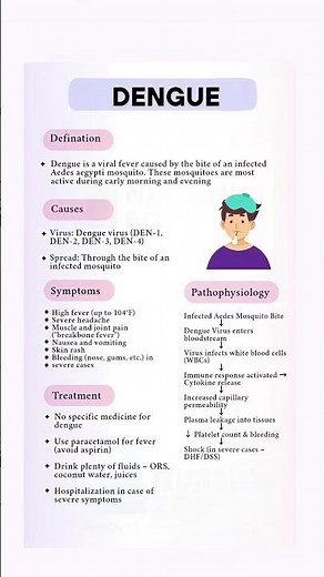 DENGUE FEVER Explained: Symptoms, Treatment & How It Spreads 🦟 | Stay Safe This Season