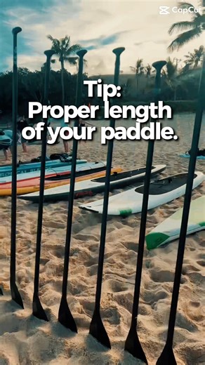 📋Quick Paddle Tip: Proper length of your paddle (With Robert Stehlik of Blue Planet Surf)
