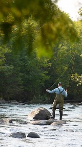 31 reactions | ✔️Restoring Brook trout habitat ✔️Improving fishing...