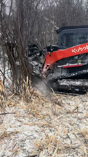 Battling overgrown land you can’t keep up with? We help local landowners clear out thick overgrown brush, buckthorn, and small trees — so you can finally get your property back to something open, usable, and easy to maintain. Whether you need to clear a fence line, open up trails, prep for a future build, or just get overgrown acreage under control before spring…we make the whole process quick and straightforward. We handle: ✔ Forestry mulching (perfect for winter land clearing) ✔ Invasive buckt