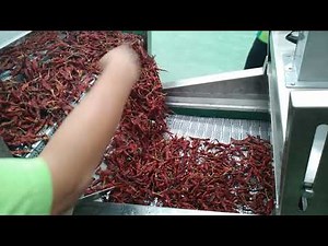 chili washing machine