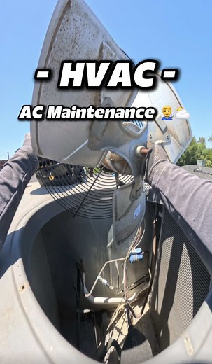 HVAC Service Call: Thorough Blower Wheel & Evap Coil Cleaning