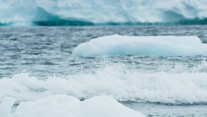 FROZEN PLANET II ISO