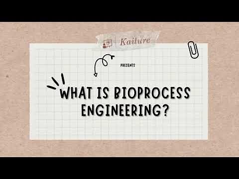 What is Bioprocess Engineering? - INTRODUCTION