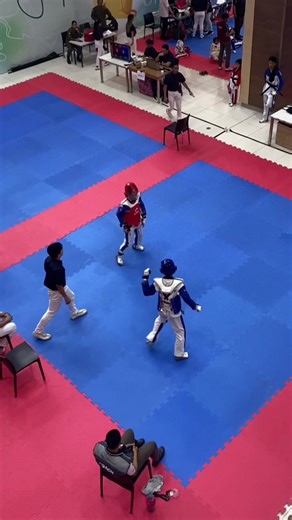 aics.sh (@tkd.aiko) - Taekwondo Kick Techniques and Moves