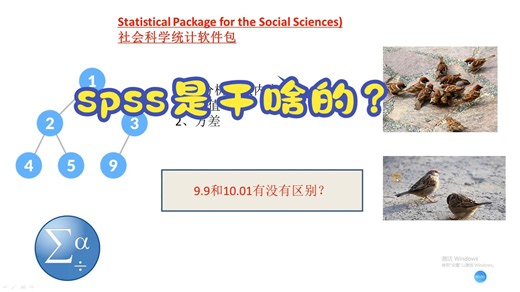 SPSS入门课堂--1.spss软件是干什么的？
