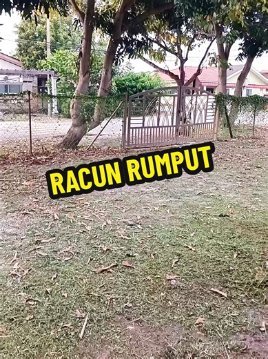 Effective Weed Control Solutions for Your Garden