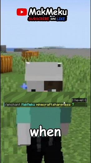 Minecraft's most powerfull command #commandblock #minecraftcommandblock #minecraftcommands #command #commands #minecraftcommand #minecraftbestcommand