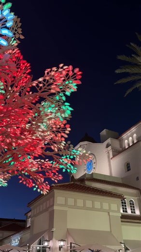 Eataly has officially landed in Downtown West Palm Beach. A partnership with Related Ross | Florida of Tomorrow