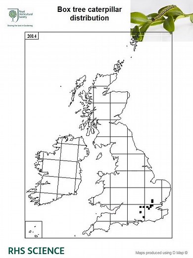 Box tree moth distribution 2011-2015 | Plant Health | Royal Horticultural Society