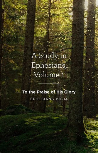 Alistair Begg helps us understand how being in Christ affects a believer's daily life as the Holy Spirit leads and strengthens us to live not for ourselves but for the glory of God. Listen now at https://tfl.to/4qypaFM Sermon: "To the Praise of His Glory" | Truth For Life with Alistair Begg