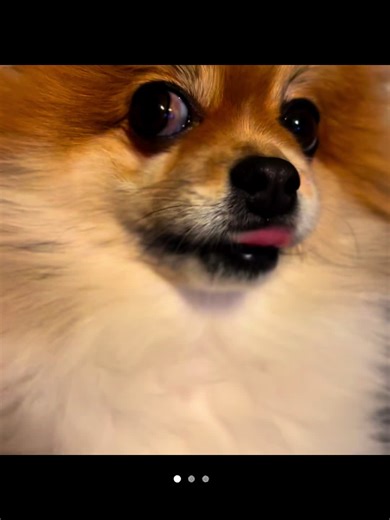 Mogger CapCut Template for Creative Edits