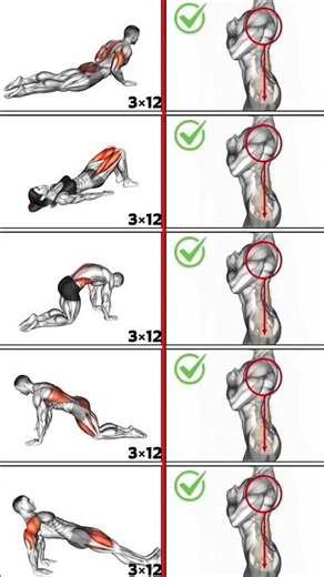 🔥 Top10 Back Streching Workout#shorts #stretchingexercises #fitness #morningstretching #backworkout