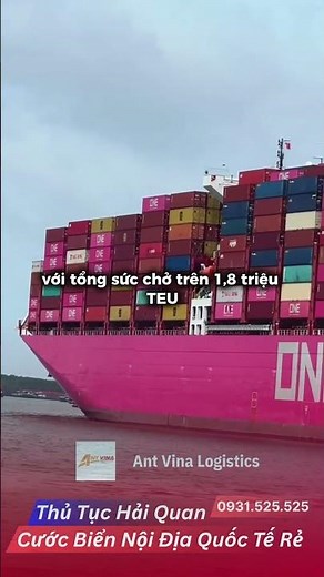 ONE (Ocean Network Express) - Pink connecting the global supply chain #logistics #seaship