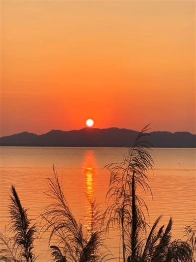 Happy Mothers Day To all the beautiful mums ❤️ #realwomanclan💜 #ttrisenpheonix #chillyworld💋 #mothersday #happymothersday