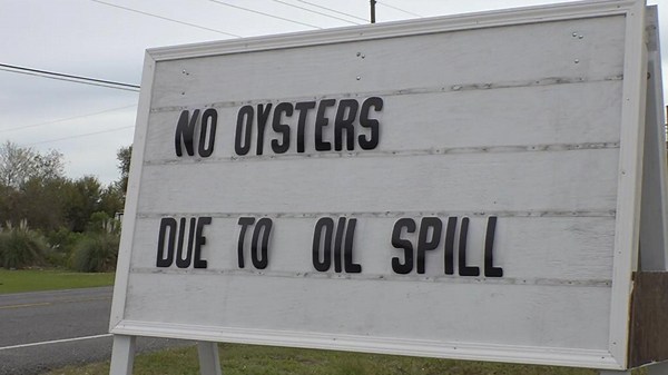 1 month after Gulf oil spill, new website launched to track cleanup progress