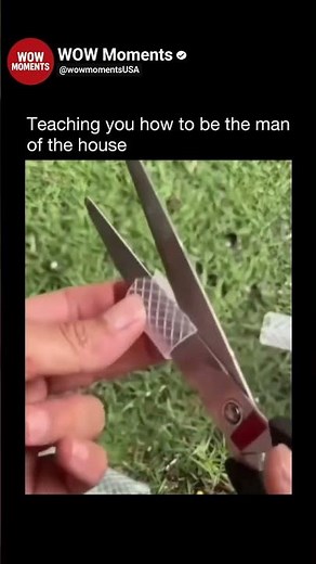 Teaching you how to be the man of the house