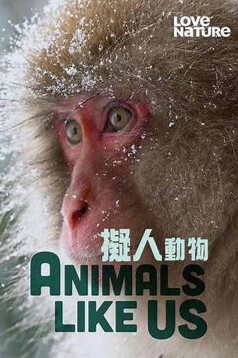 Animals Like Us (2024) - TV Show