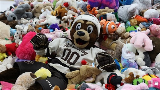 Record-breaking number of stuffed animals donated to organizations following Bears' Teddy Bear Toss