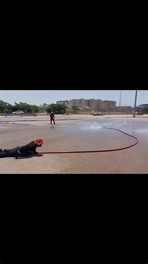 Explore the Magic of BalliBot: The Future of Technology