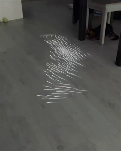 Interactive projection mapping… for cats.