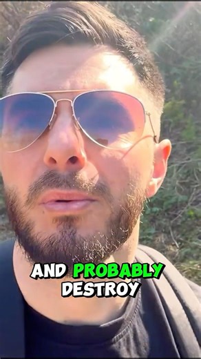 All you need for foraging #wildfood #foraging #nature