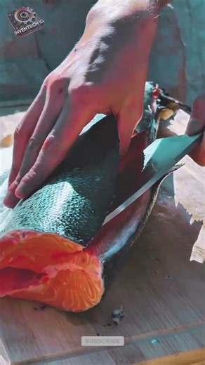 Innovation Salmon Filleting Tools: How to Fillet Salmon Precisely
