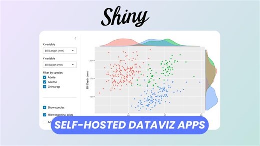 Shiny Server: Free Open Source Alternative to Power BI Tableau | Elestio