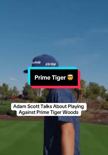 Adam Scott's Experience Playing Against Prime Tiger Woods