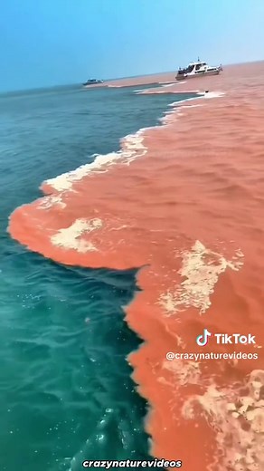 Where the Atlantic and Pacific Oceans Meet Underwater - North Sea