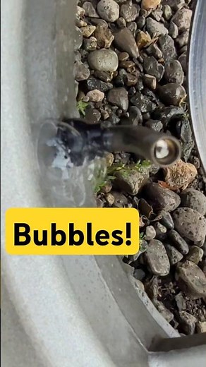 Can I fix leaking tire Valve Stem with Silicone Spray? #short #tires