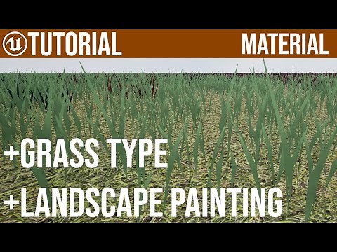 UE5 Landscape Grass Type Painting UE4 Tutorial