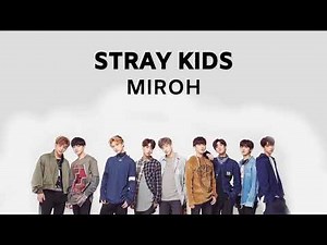 STRAY KIDS - MIROH 1 HOUR LOOP