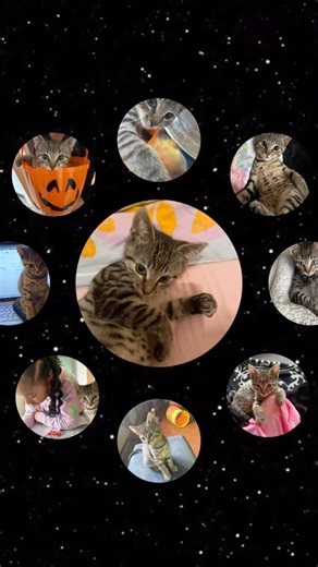 Mon système solaire ￼