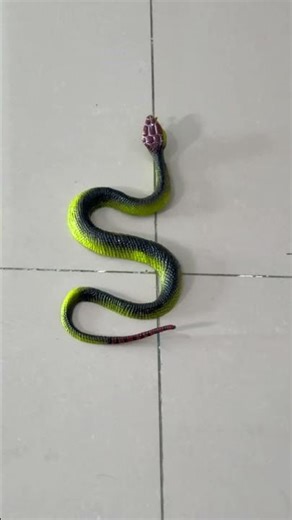 Scared of Just That? | MUSCLE MAN | #namphuong #muscleman #funny #shorts #hero #kindness