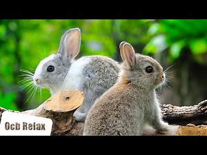 Beautiful Piano Music - Sleep Music, Relaxing Music, Meditation Music, Stress relief (Aspect)