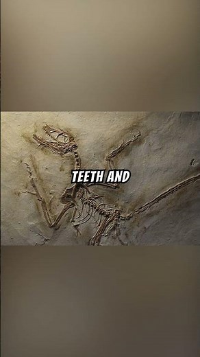 Microraptor Explained...🐦💨🌳 #explained#dinosaur #science #history #facts #comment#subscribe#fypage