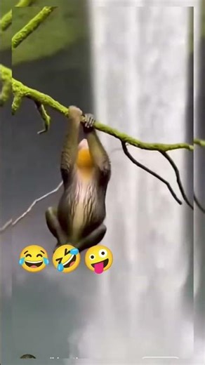 (tung tung baje tana tana na ....)|🤣#comedyvideos 🤣#funny #comedyshorts #memes|😂