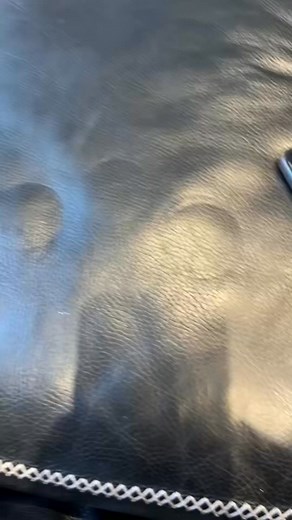 Grumpy puppy needs more food 🥺🤣 #neverfull #food #alwayshungry #pig#piggy #househippo #teamgary #perfectpooch #lifeisrough #bulldog #britishbulldogoftiktok #garythebulldog2 #britishbulldogpuppy | Gary thebulldog