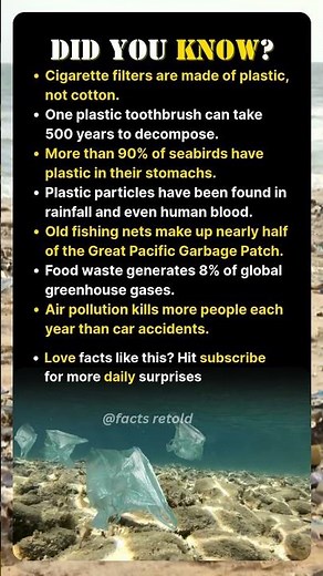 The Plastic Truth No One Told Our Generation