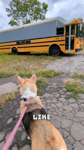 200K views · 5K reactions | They chose to take the leap into tiny living and haven't turned back  Full tour on YouTube! Need Lithium Batteries, Solar Panels or an inverter for your rig?! https://signaturesolar.com/?ref=mobiledwellings has the best prices and you can get $50 off with my code "MOBILEGET50" at checkout! | Mobile Dwellings | Facebook