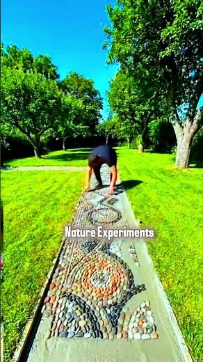 Nature Experiments