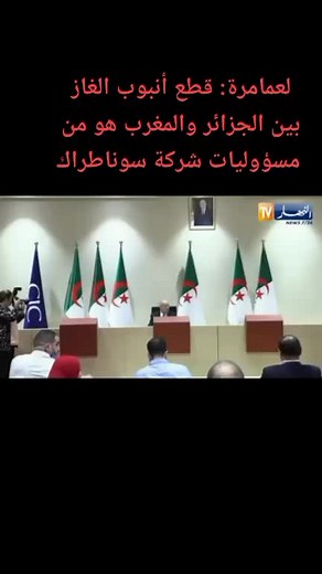 محمود الحسنات on TikTok