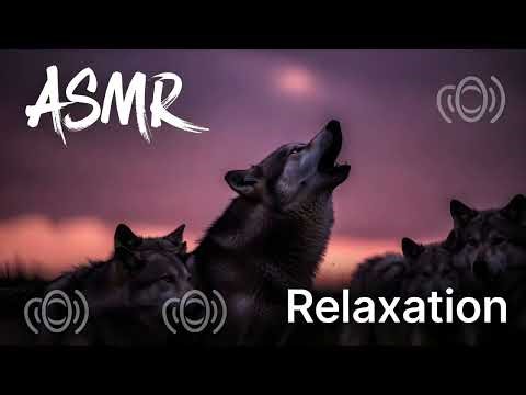 4 Hour Wolf Howling Loop – Relaxing Nature Sounds for Sleep & Focus