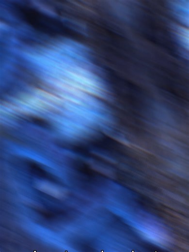 Octopus Arms Do the Thinking Sounds fake. Still real. #weirdfacts #funfacts #fyp #learnontiktok #realweirddaily